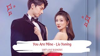 OST LOVE SCENERY | LIU YUNING - YOU ARE MINE 刘宇宁 - 你是我所有 [LYRICS HAN PIN EN] 良辰美景好时光 OST