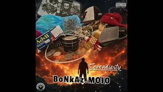 What It Feel Like | BMF Geezy Feat. BoNkAz.MOJO | Sounds of Serendipity (2019–2024)