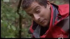 Bear Grylls Eats Shit