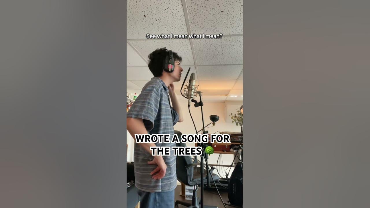 Wrote a song for the trees 🌳 #nature #trees #indiefolk #newmusic #treesong