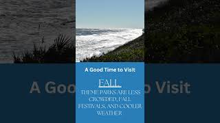 Famous The Best Time to Visit Florida: Florida Summer Series Net Worth