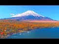 4K映像 絶景ドローン空撮「富士山 秋 紅葉の山中湖」癒し自然風景 富士五湖 Drone Japan Mt.Fuji Autumn Lake Yamanaka  Nature Relaxation