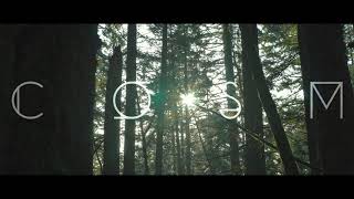 COSM - The Waking Revenant - Official Audio