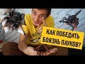 СТРАХ: ПАУКИ! Как победить арахнофобию? Контактная выставка \ Павлодар