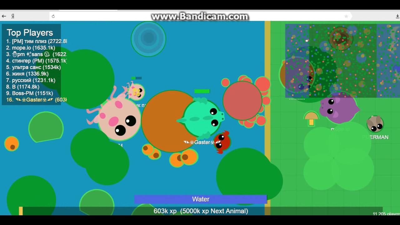 Naming io. Игра тайминг ио. Династия ио. Ио игры. Io tld.