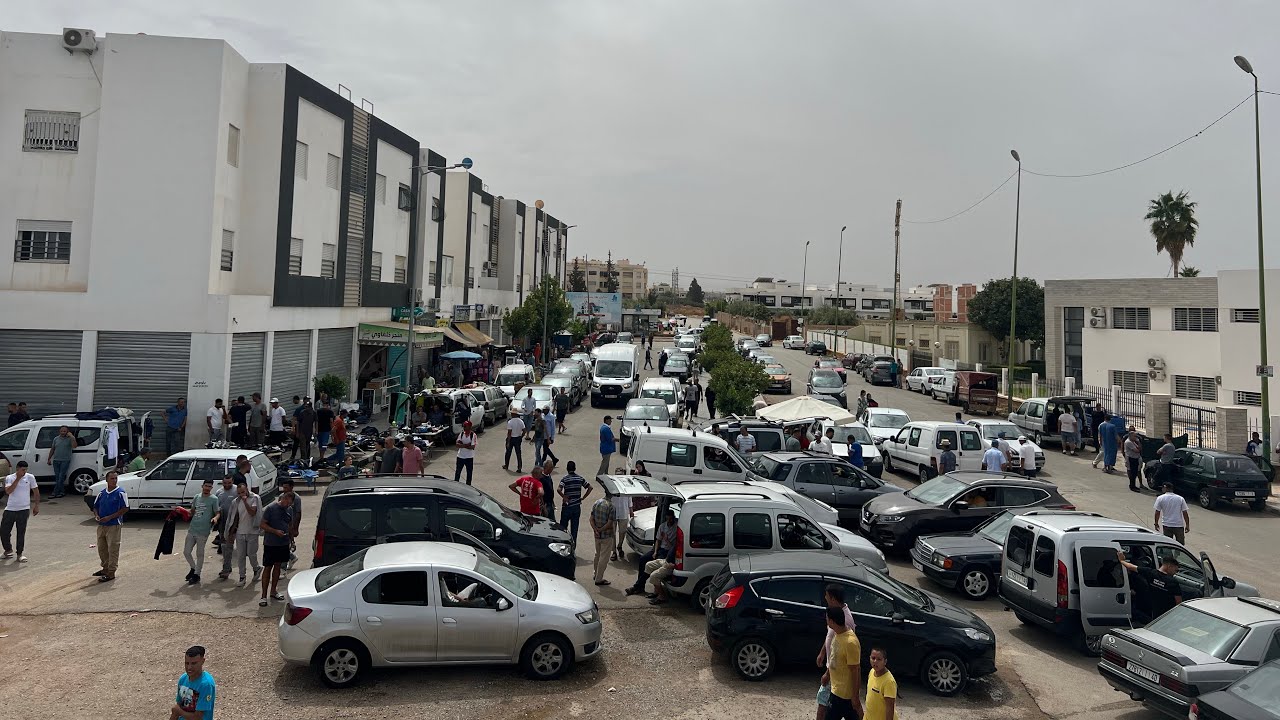 جديد اليوم أفضل الأنواع والأتمنة كا ين الهمزة اليوم 🚗🏎️🛻تاريخ 12/10/2025