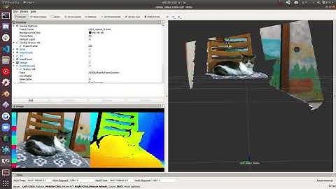 RGBDP video rvizの様子