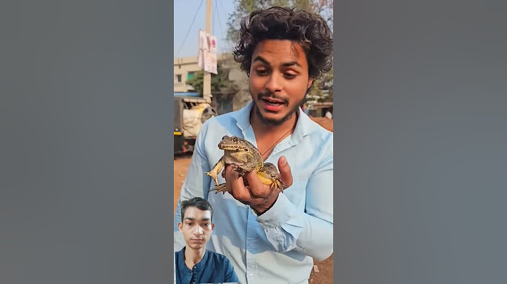 मेंढक को Market घूमाने जाना !#frog #funny#gangster0202