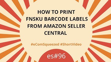 How to Print FNSKU Barcode Labels from Amazon Seller Central - es#96