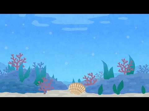 貝・ゆうた