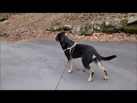 Hospital Still - 2026-03-05