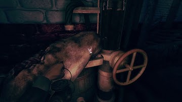 Amnesia - A Machine For Pigs # 4 Take me to church.... Piggy abuse.