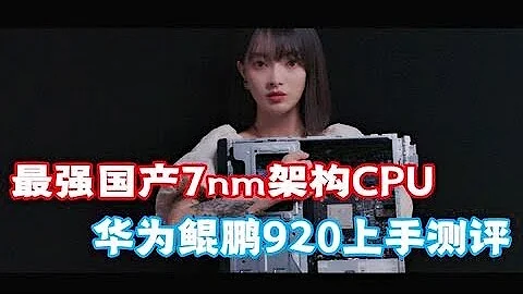 【4K】国产最先进7nm工艺，ARM架构CPU- -鲲鹏920上手简评（CC字幕） - 天天要闻
