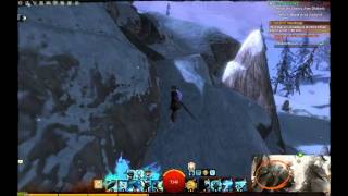 gw 2 texture bug