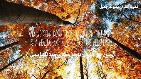 راحة لقلبك 😴❤️ سورة الواقعة 🎧تلاوة تهتز لها القلوب || قرآن بصوت جميل||