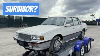 видео: Copart купит: Cadillac Cimarron с пробегом 50 000 миль картинка: Copart купит: Cadillac Cimarron с пробегом 50 000 миль