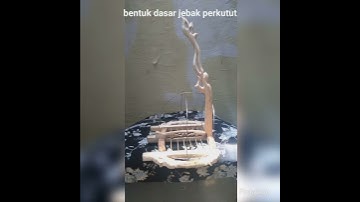 Sangkar Jebak perkutut / merbuk