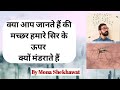 मच्छर हमारे सिर के ऊपर क्यों मंडराते हैं#shorts#youtubeshorts#ytstudioby Mona Shekhawat