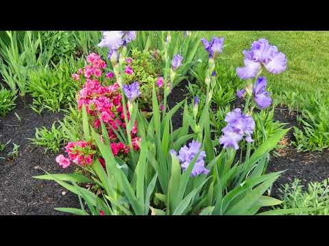 Threnody from Triptych Composed by Charles Callahan