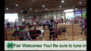 Junior Fair Stark County Live Stream