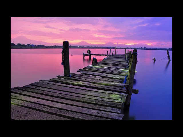 POCHILL - Violet Theme