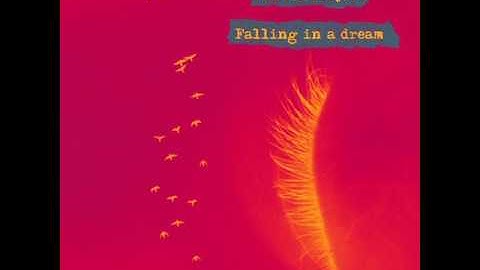 Winter Project : Falling in a dream