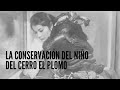 Conservación del Niño del Cerro El Plomo - Nieves Acevedo, 2014