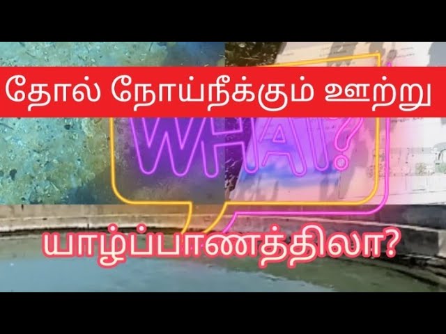 தோல் நோய்நீக்கும் ஊற்று | ஊறணி ஊற்று |Skin disinfectant pour |Jaffna vlog | oorani ootru | class=