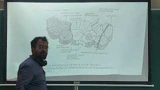 MM504: Lecture 21 Qualitative Fractography and Fractal Dimension