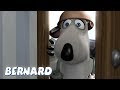 Bernard Bear | The Fumigator 2 AND MORE | 30 min Compilation | Cartoons for Children