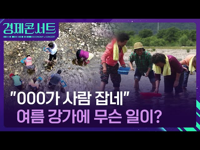 '피서철 ‘손맛 쏠쏠’ 빠졌다간 ‘앗’…사람 잡는 다슬기잡이, 사망 사고 잇따라 [경제콘서트] / KBS  …