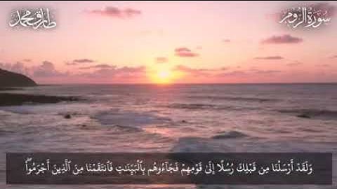 *تِلاوَة بالكُردِ الهادئ || ما تيسَّرَ من سورة "الرُّوم" || طارق محمد*