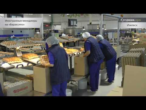 Иностранные менеджеры посетили птицефабрику Вараксино