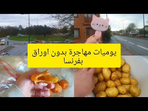 كلمة للي ما حاشماش على روحا ولادي جولة في اكسيون قضيان من الجمعية و شكارة خبز للفيران