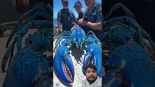 इतना बड़ा बिछु #animals #cute #scary #nature #wildlife #ytshorts #funny #viralvideo #facts