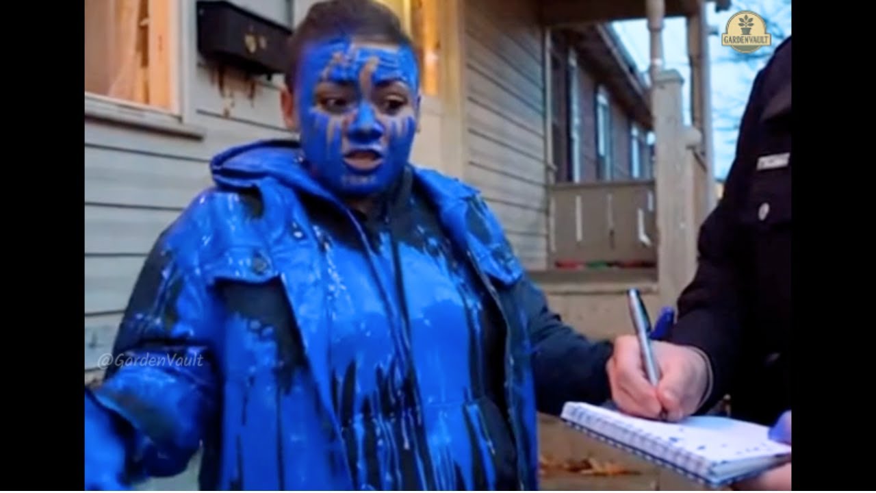 🚨 Лучшие неудачные попытки кражи вещей с крыльца в 2025 году 🎨✨💥 (Заснято на видео с Ring Cam)