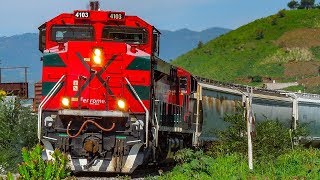 Ferromex Trains On The T - Line | Nayarit, Mexico!
