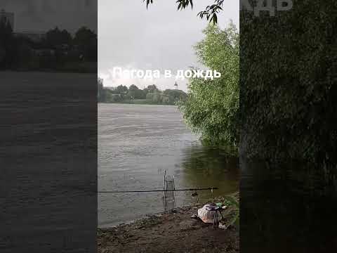 Рыбалка в дождь//кто