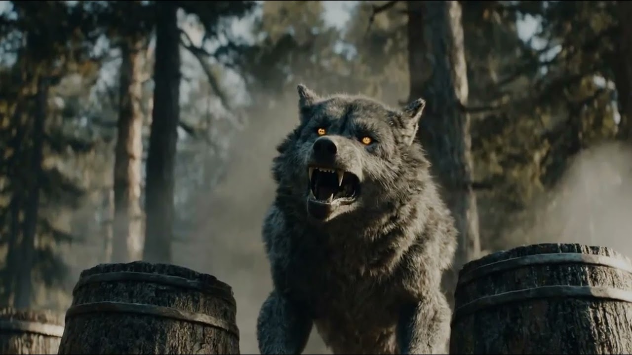 DJ Прозрачный - Лес на спорте(Ворона отдыхает)