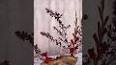 The Enchanting World of Japanese Flower Arrangement (Ikebana) ile ilgili video