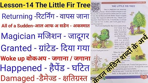 The little fir tree | class 5 | chapter 14 all word meaning.all word meaning of this chapter.