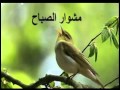 مشوار الصباح 13 2 2016