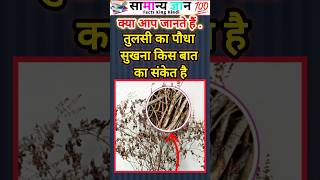 Gk Question || Gk Questions And Answers || General Knowledge || KB World Gk |