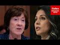 'Poses A Terrible Threat': Collins Asks Tulsi Gabbard About Protecting US Infrastructure From China