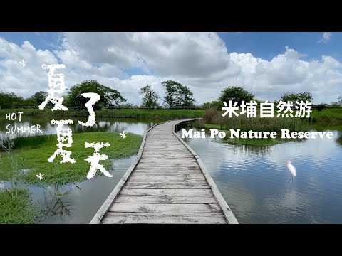 Mai Po Nature Reserve 米埔夏日自然游