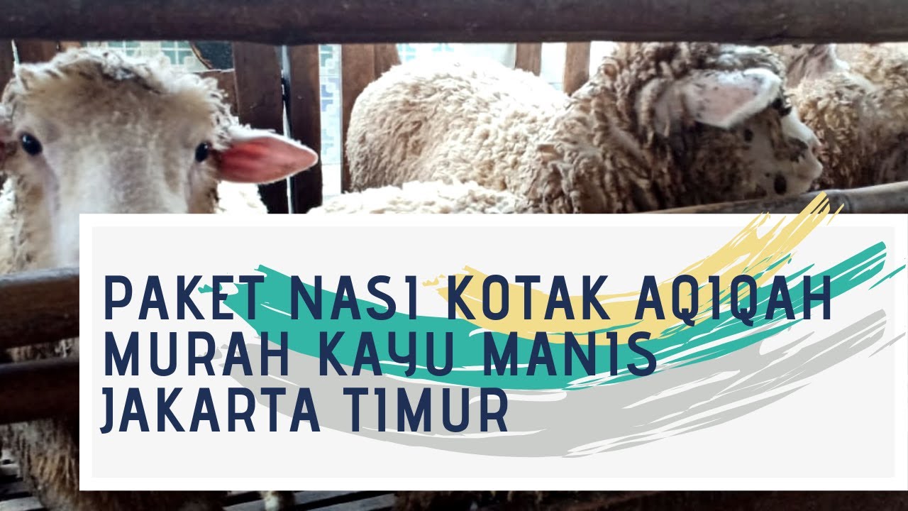 Paket Nasi Kotak  Aqiqah Murah Kayu  Manis  Jakarta Timur 