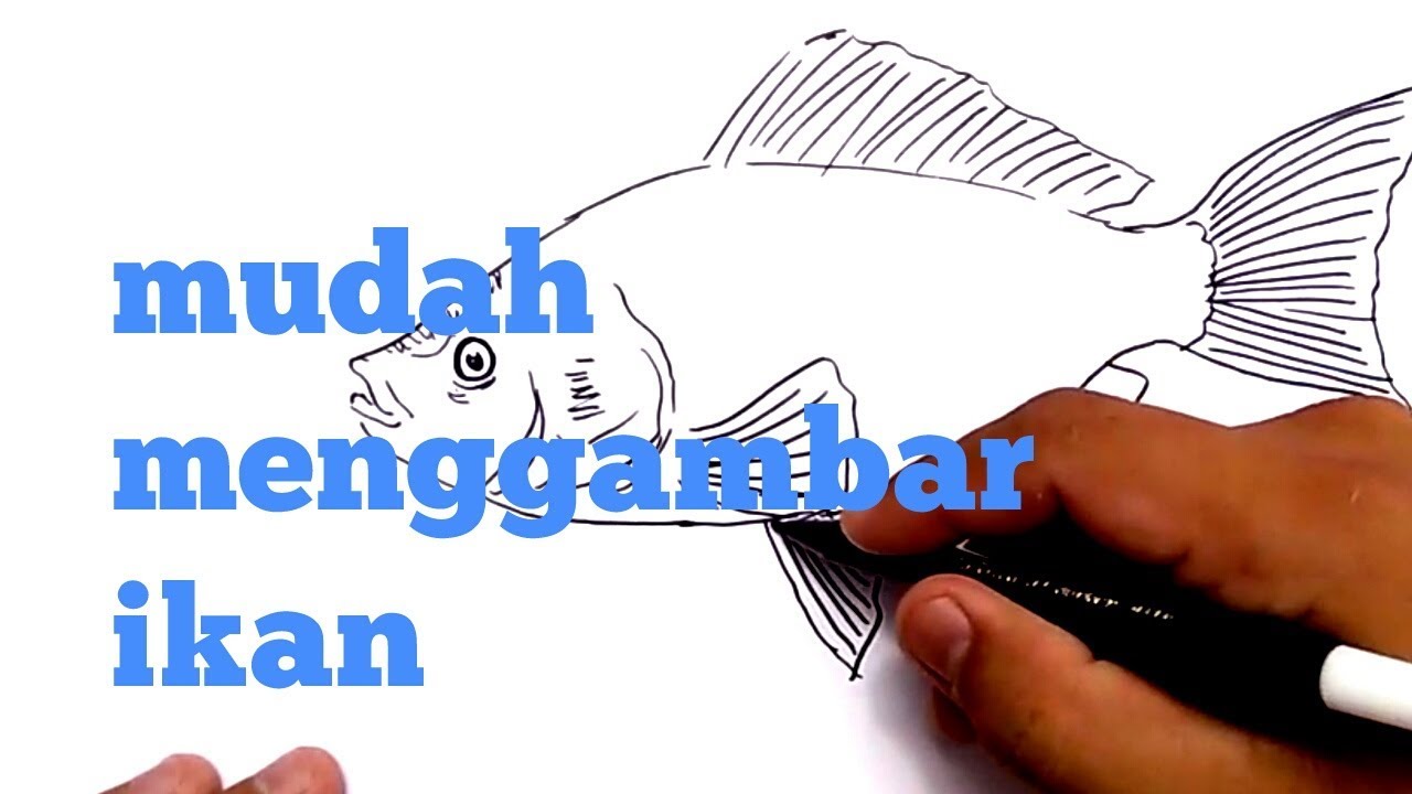 WOW MUDAH  cara  menggambar  IKAN  dengan  CEPAT  how to draw 