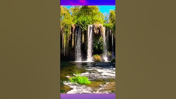 مقطع جميل مميز-عنتر سعيد مسلم-سورة التوبة( ...ليتفقهوا في الدين...)-تلاوات نادرة خارجية