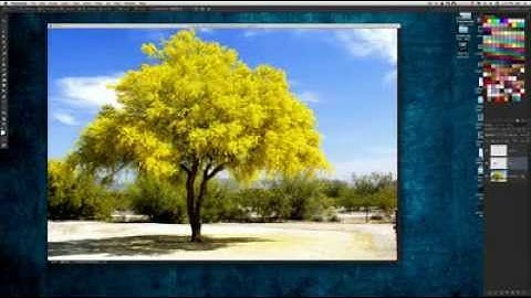 Check out the latest Design Dish from Corey Barker!