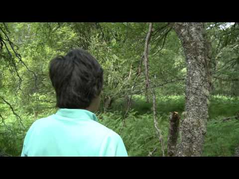 Taking a fast rough bearing while orienteering